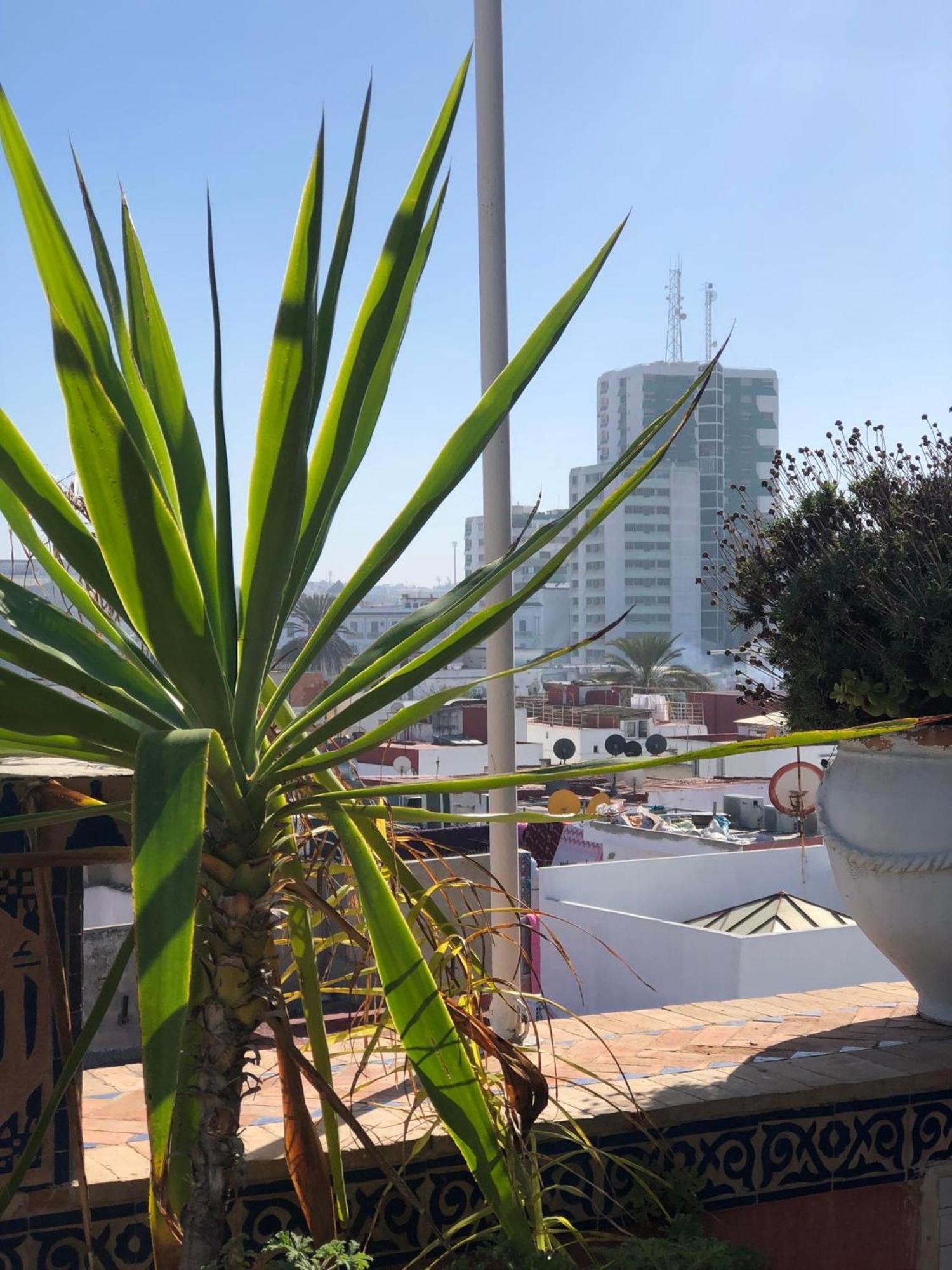 Riad Razoli Sidi Fateh Rabat Dış mekan fotoğraf