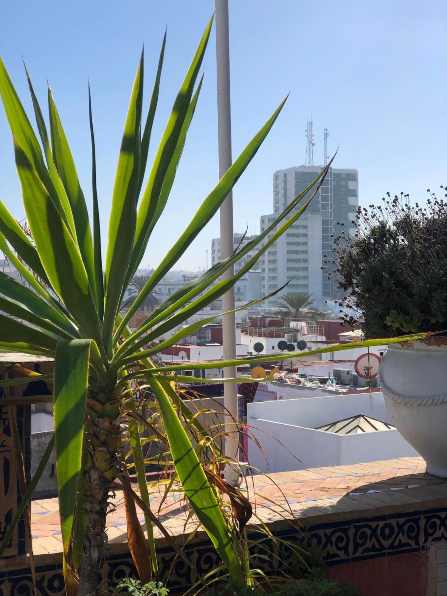 Riad Razoli Sidi Fateh Rabat Dış mekan fotoğraf